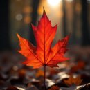 강건강기능식품 | 🌳 갈참나무: 한반도의 숲을 지키는 고귀한 수호자