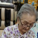 곡란경로당 Daum카페