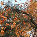 너른마당 이미지