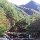 금양사 Daum카페