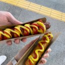 삼척 1박2일 여행 코스(장호항, 환선굴, 점심 맛집)