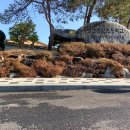 벌교 중앙초교 이미지