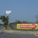 에듀뮤지움