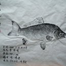 하연 이미지