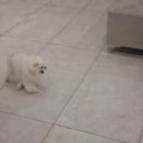 필유동물메디컬센터 이미지