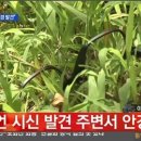 안*경 이미지
