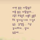 눈부시다