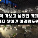 힐링도원 | 용인 아리랑도원 방문기｜실내 연못·전통 조경·대형 베이커리까지 갖춘 힐링 카페