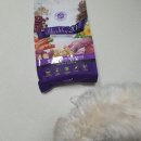 그레이드소프트 | 강아지 눈물자국 사료 강아지 눈물 사료 추천, 헬시20 프리미엄 눈물 소프트타입 휴먼그레이드 솔직후기