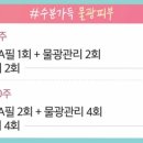 데이봄의원 이미지