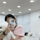 조이에셈피