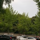 퐁텐카페 이미지