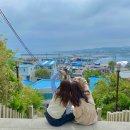 희동이의 하루 이미지