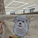 도그베이 미사점 이미지