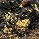 금화환경 이미지