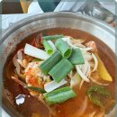 털보애견