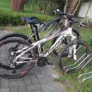 태호목장 이미지