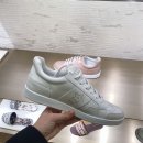 화이트앤스타