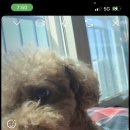 클리프어학원