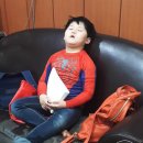 대일 합기도 체육관 이미지