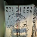 씨알기획