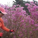 남일목장 이미지