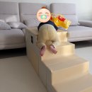 디자인스킨봄 | 소아재활 운동치료 3개월 후기 디자인스킨 플레이테이블 프로스펙스 안티버스트 짐볼 55