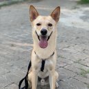 가족동물병원 이미지