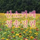 산소카폐 청송정원 (1) 이미지