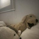 수원-1023 | 251016 ~ 1023 :: 사랑했던 마음엔 아무 잘못도 없으니까