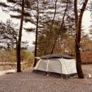 계곡과소나무 캠핑장 이미지