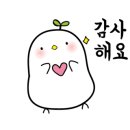 동성철물유리