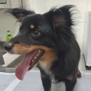 장안로309번길 이미지