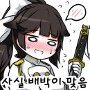 시티칸 네이버블로그