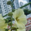 백일홍어린이공원 이미지