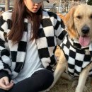 댕블리스 이미지