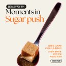 엘라스틴 [Moments In_ vol.2: Sugar Push] 이미지