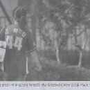 NC스포츠 Daum카페