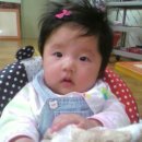 뚱강아지 이미지