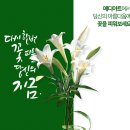 메디아트의원 이미지