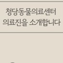 청당동물의료센터