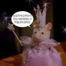 이** 이미지