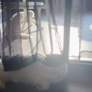 마마동물병원 이미지