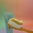 힐메디 헬스케어 | 🦷 잇몸에좋은치약 찾다 정착템 된 이유? 메디엔시아 잇플란트 홍삼 치약 솔직후기