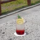 오션스케치 이미지