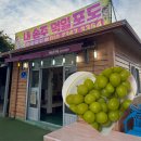 영광포도원 | 안성 영광포도원 샤인머스캣 5kg 구매 후기