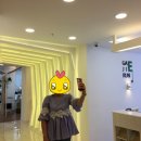 가지런-e치과의원 이미지