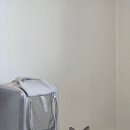 일상 | 연두 재택 일상 후기 | 고양이 반응 변화 + 집중 안되는 이유 정리 ⭐