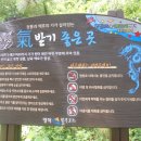 로드주유소 이미지