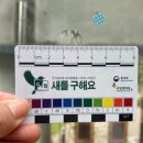 성현동 파랑새작은도서관 | [후기]더 이상 없었으면 하는 기록 : 산 새 만나요, 죽은 새 찾아요